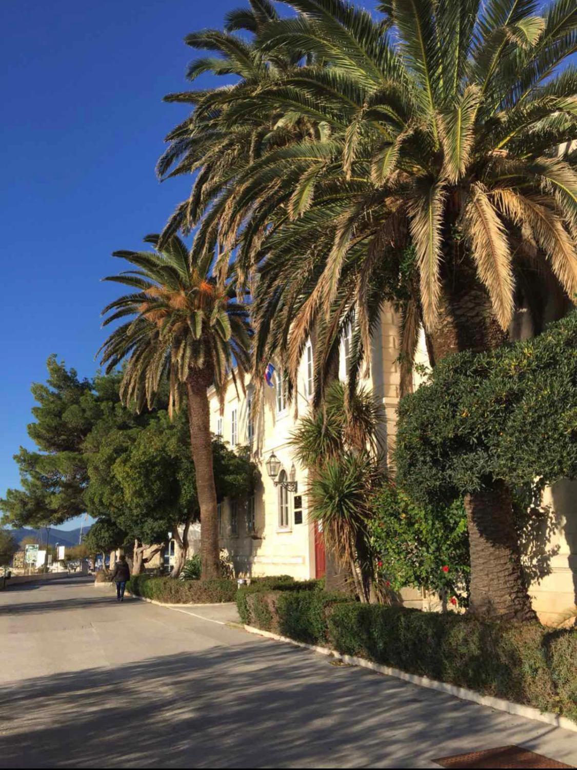 Apartment Dijana Orebić Εξωτερικό φωτογραφία